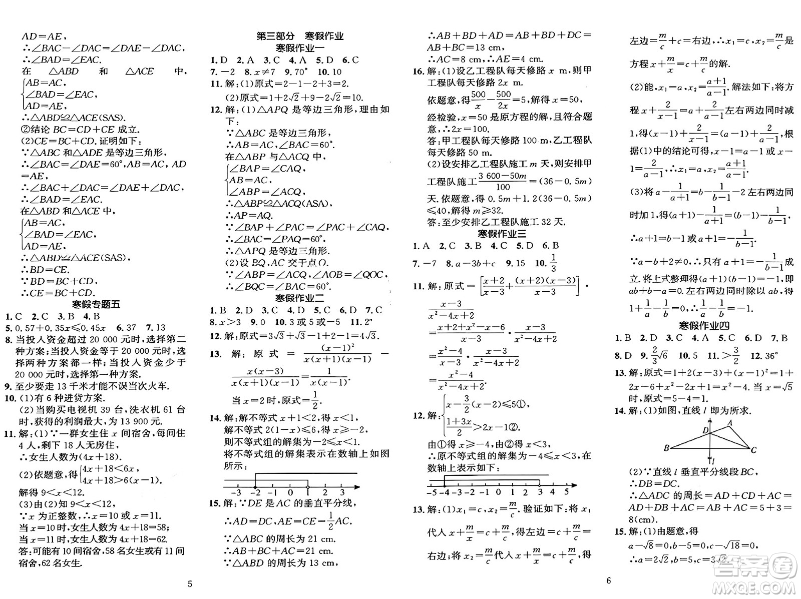 長(zhǎng)江出版社2025年鑫浪傳媒給力100寒假作業(yè)八年級(jí)數(shù)學(xué)湘教版答案