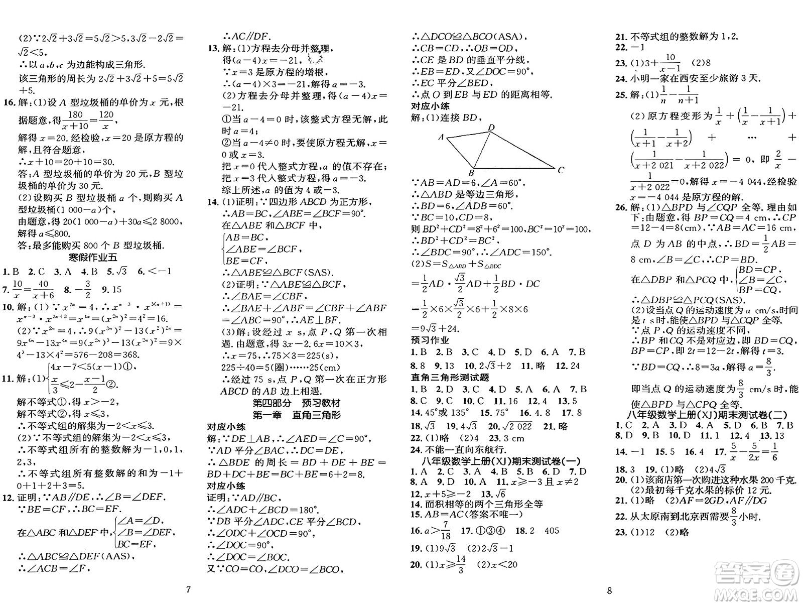 長(zhǎng)江出版社2025年鑫浪傳媒給力100寒假作業(yè)八年級(jí)數(shù)學(xué)湘教版答案