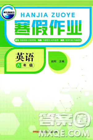 新疆青少年出版社2025年高效課堂系列寒假作業(yè)八年級(jí)英語(yǔ)通用版答案