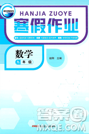 新疆青少年出版社2025年高效課堂系列寒假作業(yè)九年級數(shù)學(xué)通用版答案