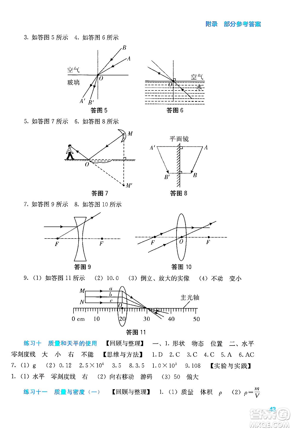 廣西教育出版社2025年新課程寒假作業(yè)八年級(jí)物理通用版答案