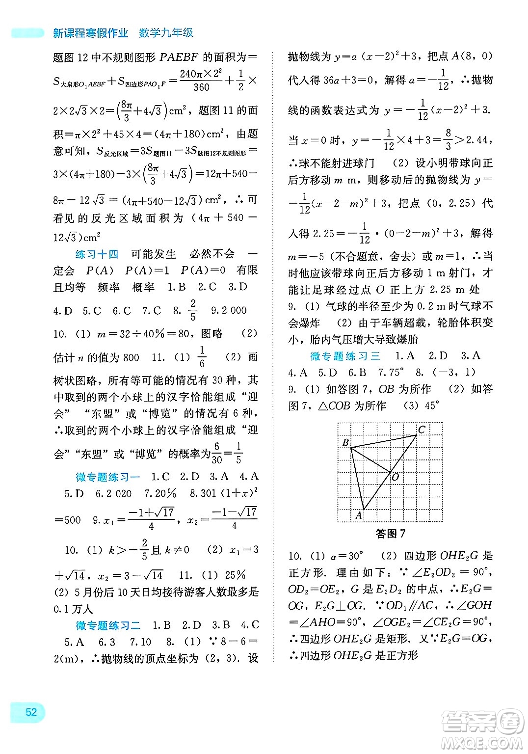 廣西教育出版社2025年新課程寒假作業(yè)九年級(jí)數(shù)學(xué)通用版答案