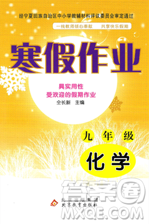 北京教育出版社2025年寒假作業(yè)九年級化學通用版答案